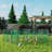 Dovidio 10 Square Feet Chicken Run For Up To 30 Chickens