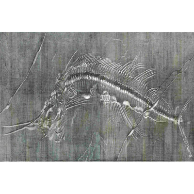 Impression fossile I