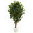 72'' Faux Ficus Tree in Ceramic Planter