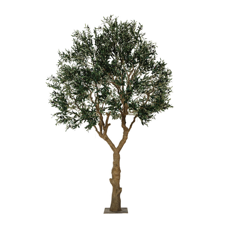 Faux olivier 118 "Sonoma