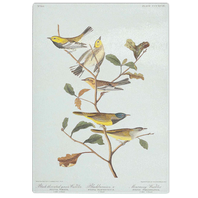 Tempered Glass Black-Throated Green Warbler Chopping Board, 28.5 cm W x 39 cm L
