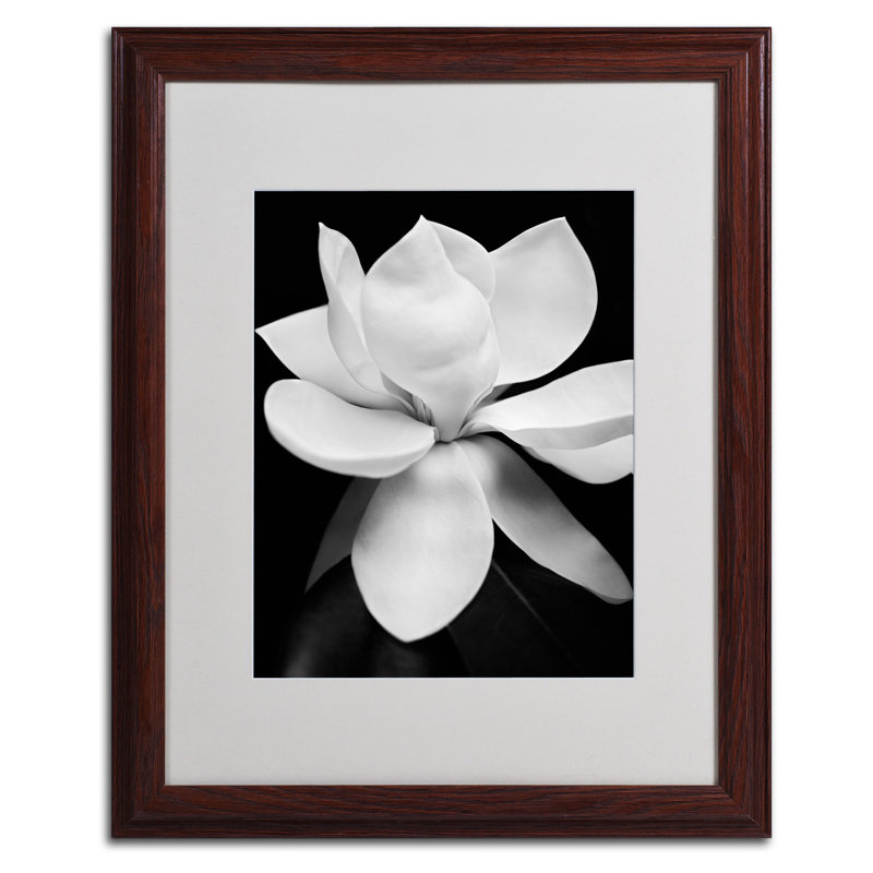Reproduction de photo sur toile encadrée « Magnolia » par Michael Harrison, H 20 po x l 16 po x P 0,5 po