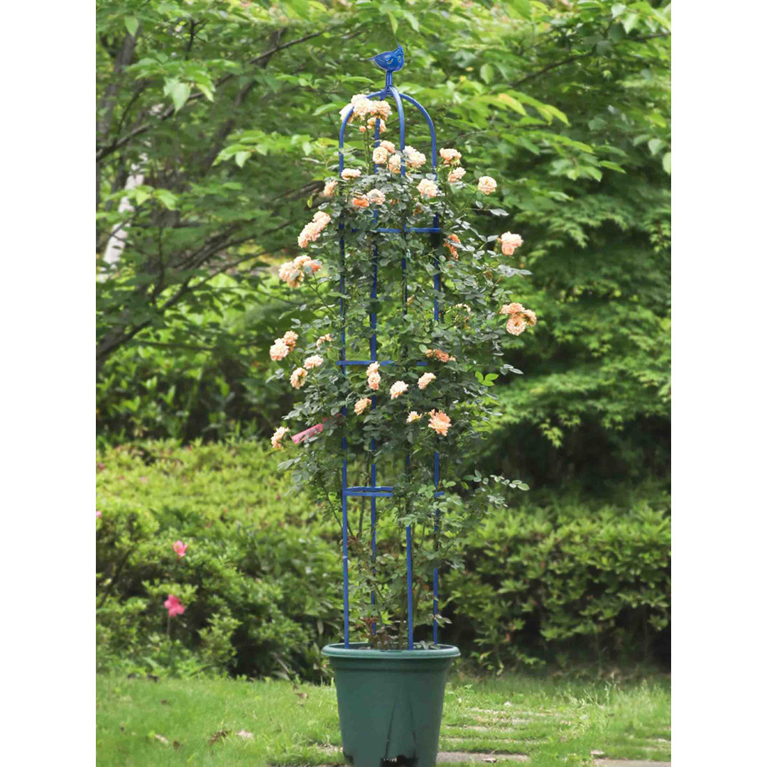 Danashia 180cm H x 30cm W Metal Obelisk Trellis