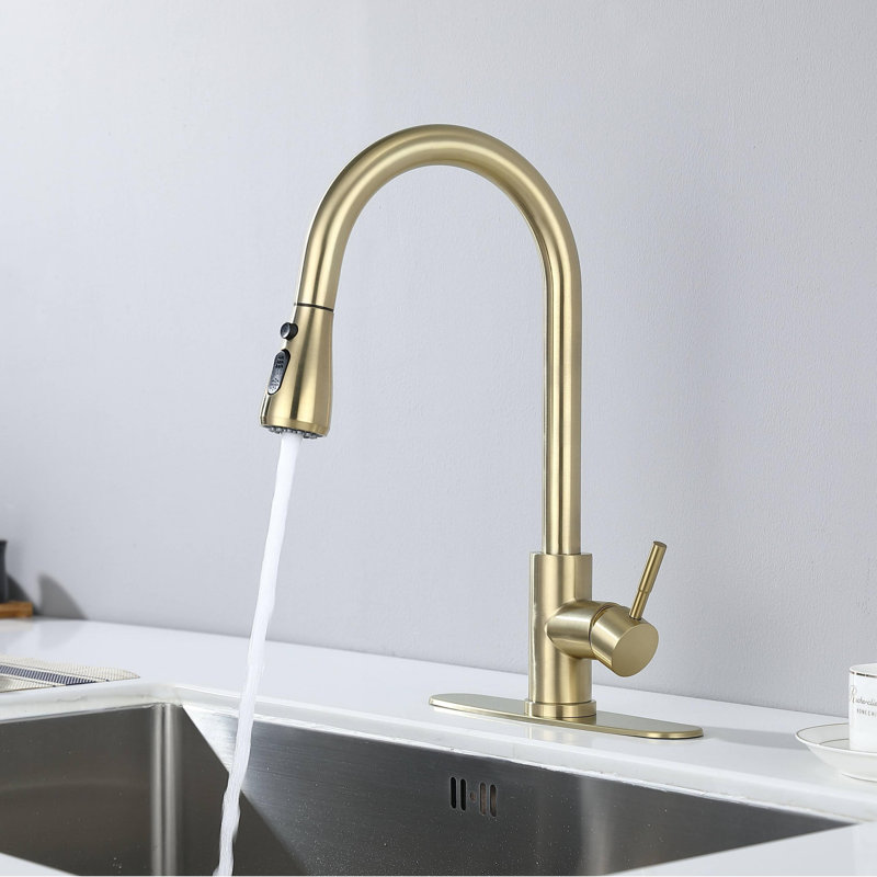 Kitchen Faucet With Pull Out Spraye