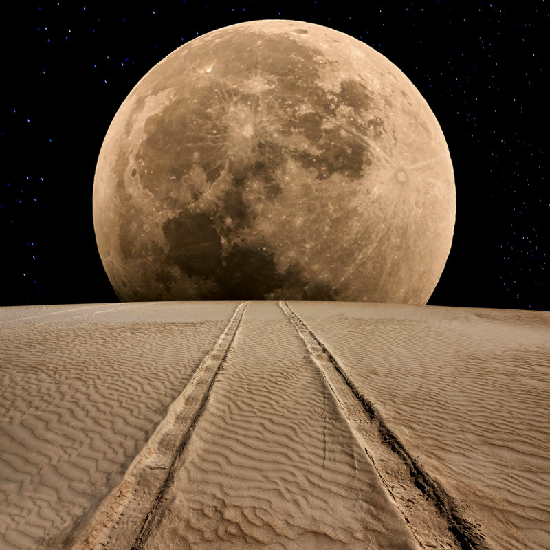Tire Track On Desert At Supermoon Night by Zorazhuang - Art Prints, 30cm H x 30cm W
