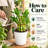 2-Layer Lucky Bamboo Plant
