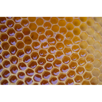 Texie Honeycomb par M_D_Pace