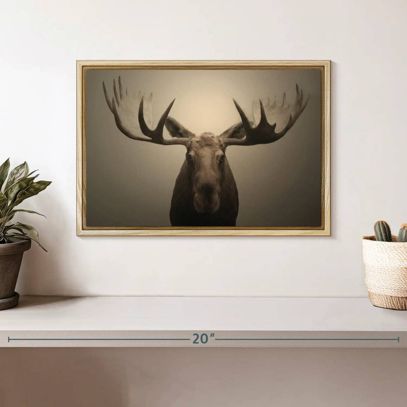 Portrait d'orignal, Cadre flottant en bois naturel, 13 po x 9 po