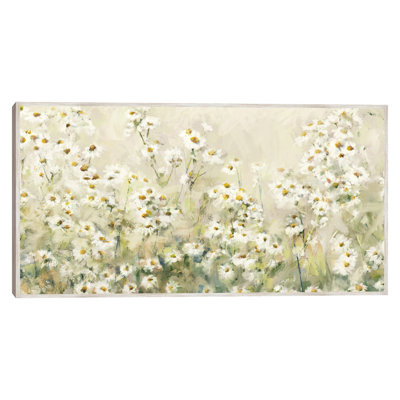 Daytime Daisies by Studio Arts Canvas Art Print