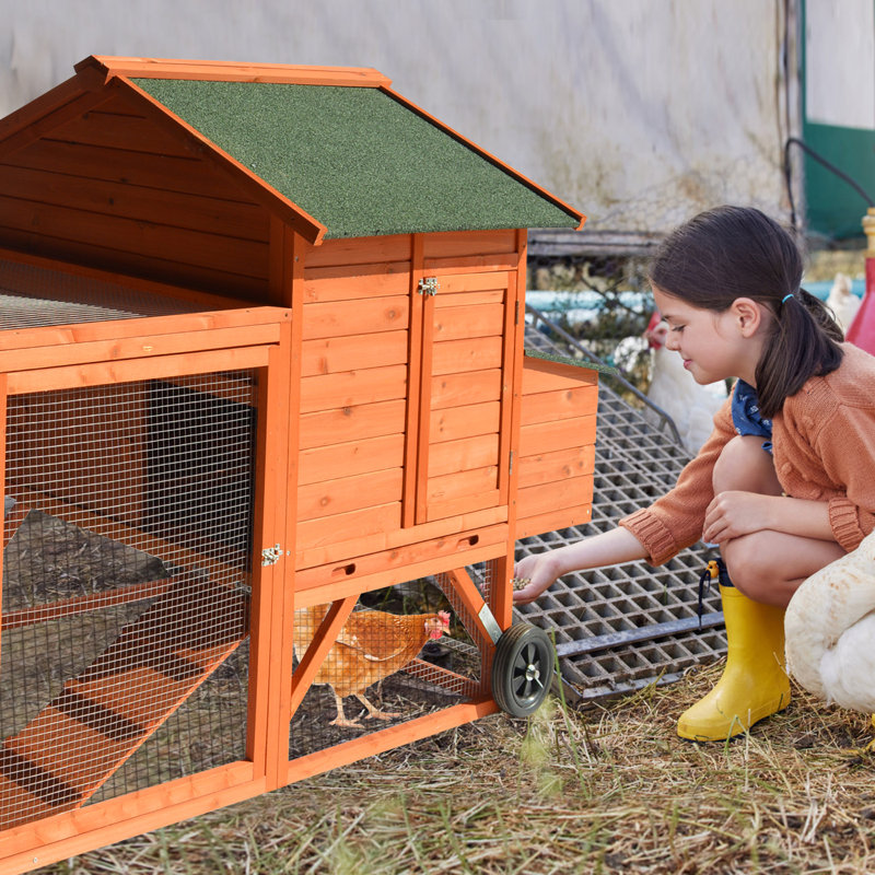 Poulailler Tucker Murphy Pet ™ avec poulailler