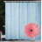 Shower Curtain with Hooks Included