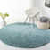 Jiang Aqua Area Rug