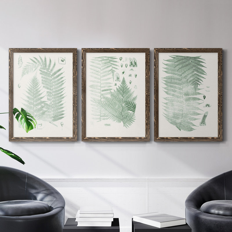 Verdure Ferns IV - ensemble de 3 peintures sur toile encadrées, Noyer, H 43,5 po x l 31,5 po x P 1 po