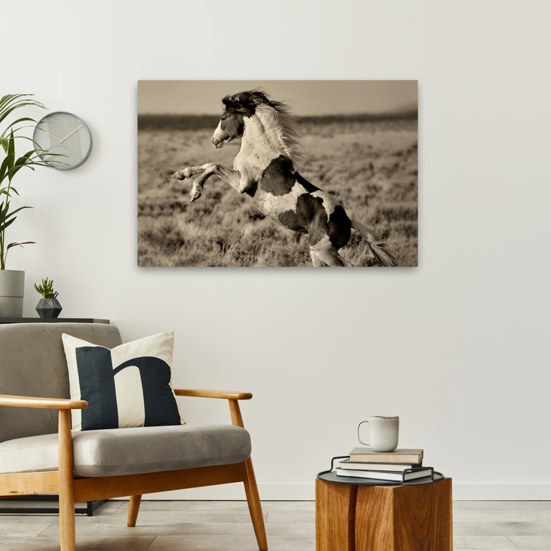 Poney sauvage peint - Photographie, chevaux, art, H 36 po x l 24 po