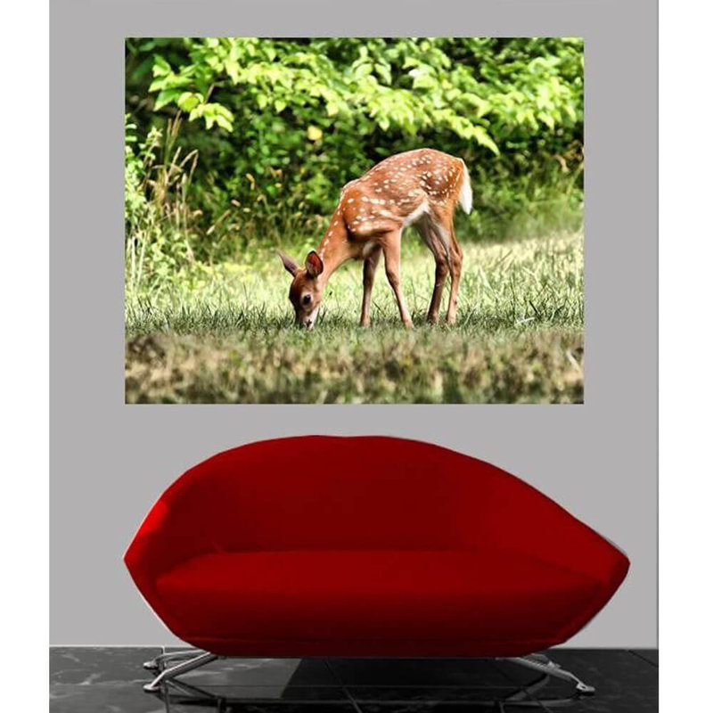Affiche de fauve brillante à batie pâturage, H 19 po x l 24 po