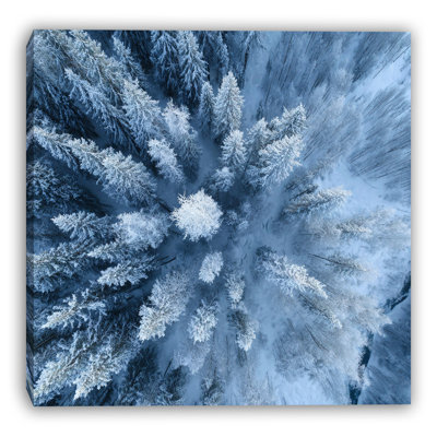 «Blue Frost Forest», art mural sur toile tendue