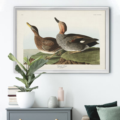 " Galdwell Duck "
