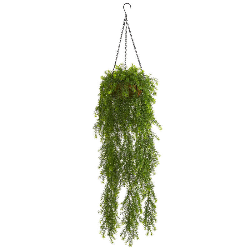 Plante ivy artificielle 32" en panier