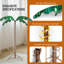 Jaal LED Lighted Trees & Branches-301270752