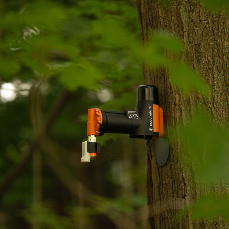 2B890213BD2740D3AC3DBD4FF24E06EB A18 Grey Squirrels Trapping Kit with Tree Mount, Black