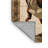 Machine Washable Dinosaurs Brown Area Rug-666527851