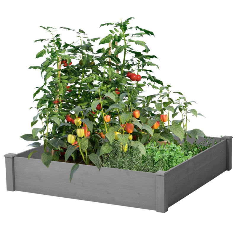 Raised Garden Bed 48X48x10'', Outdoor Wood Planter Box Over Floor, Tool-Free Assembly