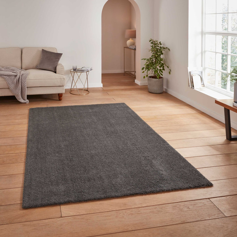 Asaldis area rug Machine Woven Rectangle Charcoal, Rectangle 60 x 115cm