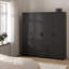 Manufactured Wood Wardrobe