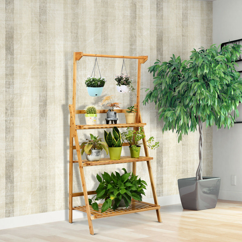 Galax Plant Stand