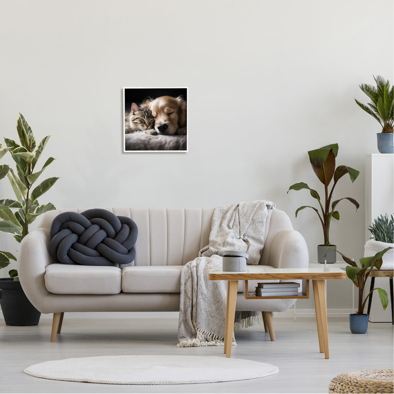 Az-177-Imprimé de chat et de chien encadré, Giclée encadrée blanc bord de mer, H 17 po x l 17 po x P 1,5 po
