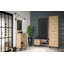 Hansell 6 Pair Shoe Storage Cabinet