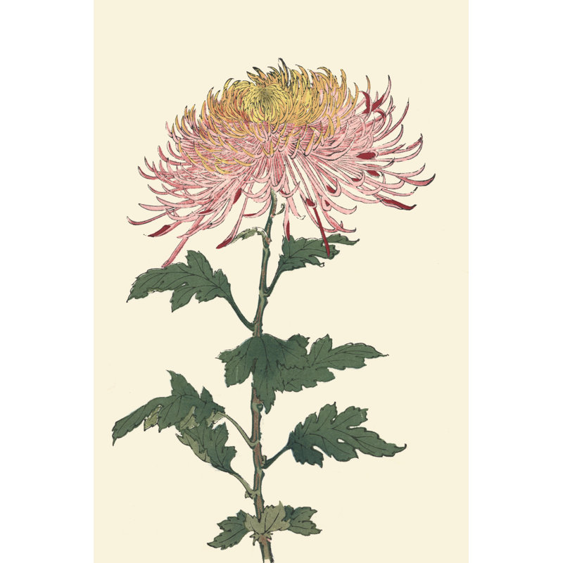 Chrysanthemum Woodblock II - Art Print, Black Floater Framed, 46cm H x 30cm W