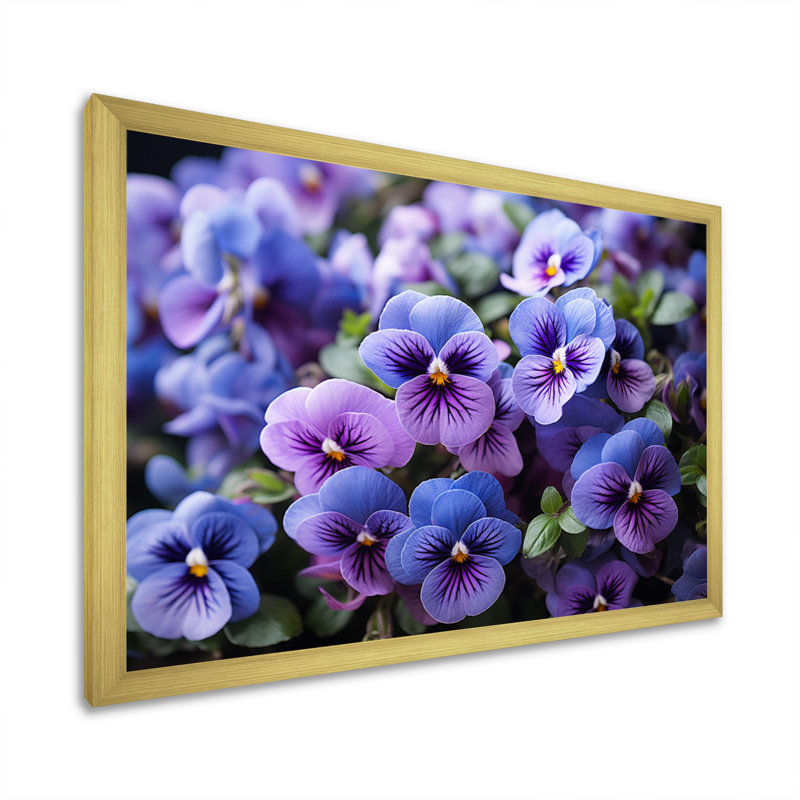 «Purple Pansies Field Vibrant» sur toile, H 12 po x l 20 po x P 1 po, Cadre doré simple