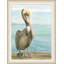 Pelican 1 Print