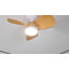 Ventilateur de plafond encastré moderne à 3 pales de 23 po avec télécommande et ensemble d'éclairage Corabelle-9380108