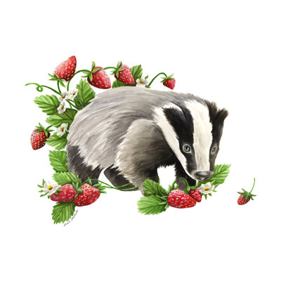 "Badger" par Leah Tedesco sur