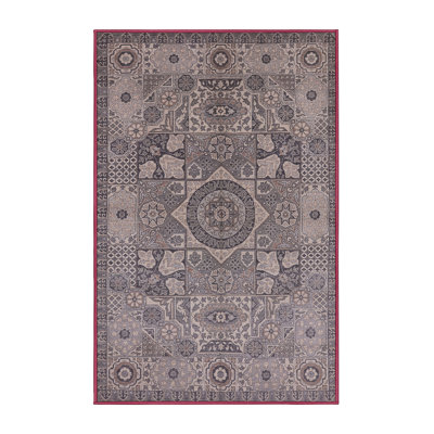 Oriental Indoor Rug