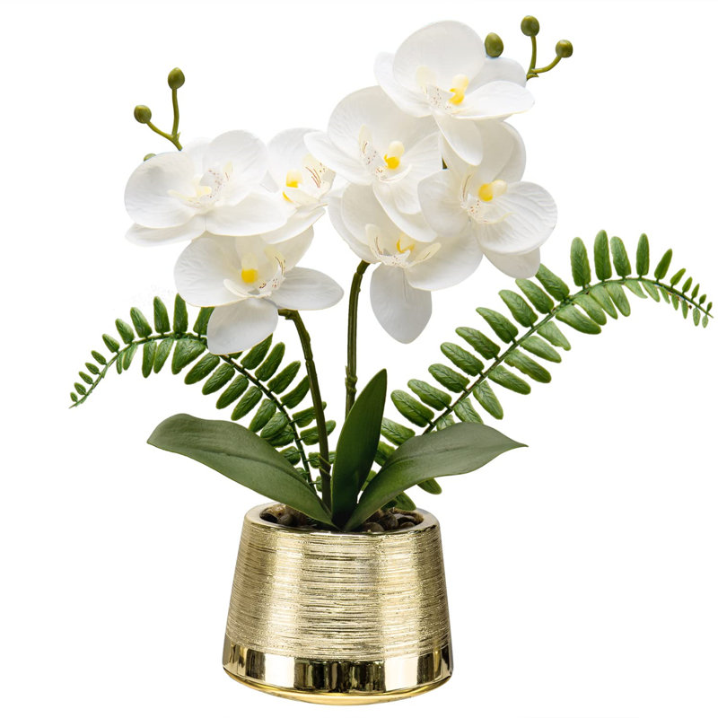 Arrangement in Vase