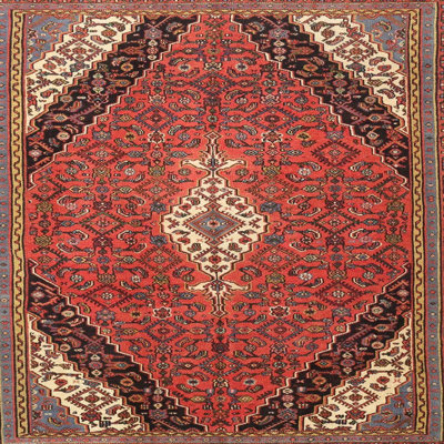 Oriental Indoor Rug