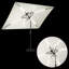 Parasol-747287859