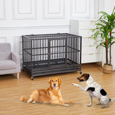 Chenil d'extérieur pour animaux 6x6FT