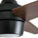 Eamon 52'' Ceiling Fan with LED Lights and Remote Control