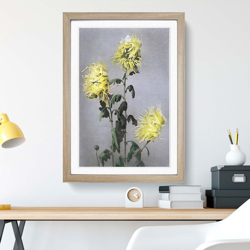Yellow Chrysanthemum Flowers by Ogawa Kazumasa - Framed Print, Oak Framed, 36cm H x 27cm W x 2cm D