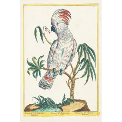 Pastel Birds II - Wrapped Canvas Art Prints