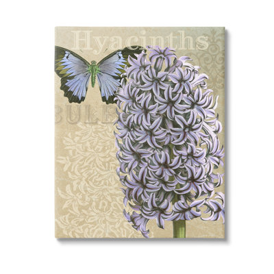 "Hyacinth" par Gail Fraser