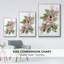 Cardinal Holly Christmas Collection B-1653972439-1653972432