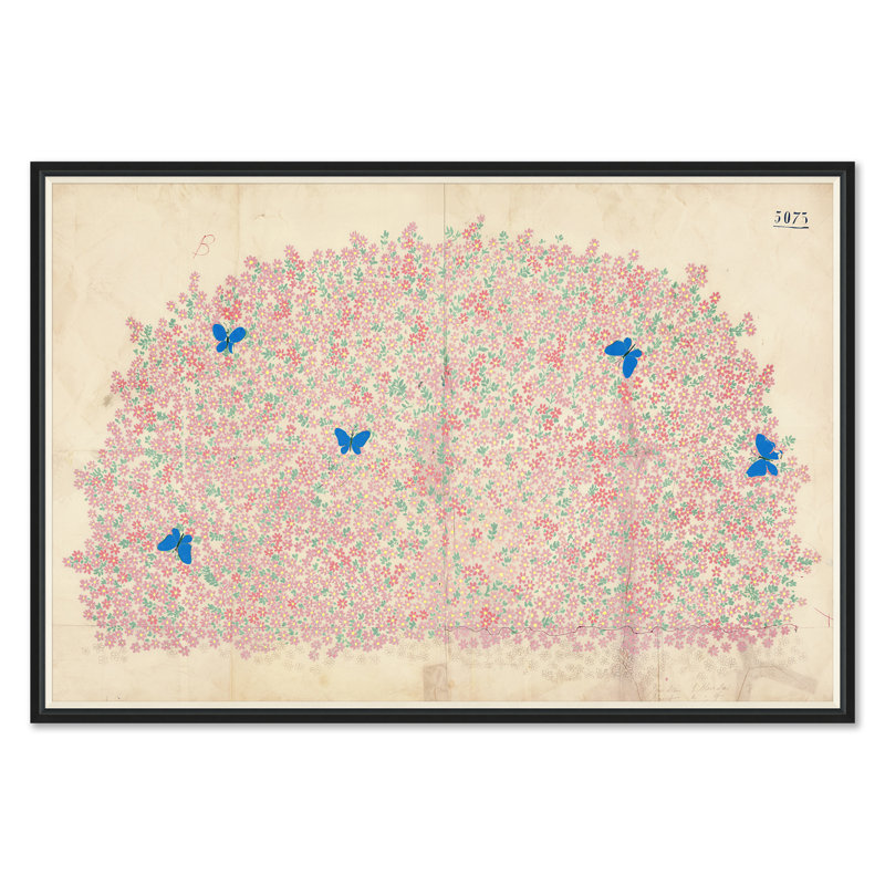 Myosotis Print by Paule Marrot Soicher Marin, Black Framed
