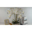 Arrangement de soie orchidée en pot