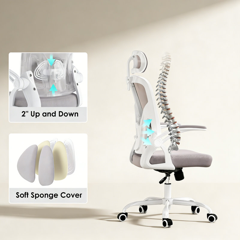 Home Office Desk Chair with Headrest, Ergonomic Office Chair, High Back Computer Chair with Armrests and Adjustable Lumbar Support