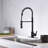 Prime Collection High-Arc Single Handle Kitchen/Bar Faucet with 2-Function Pull-Down Spring Spout Sprayer - Oil Rubbed Bronze-19182728